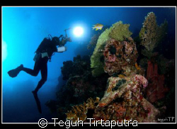 Taken at Menjangan Islang, West Bali, Indonesia by Teguh Tirtaputra 